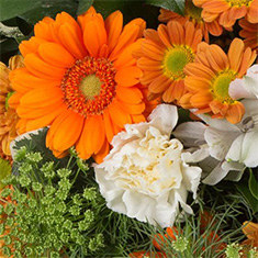 Florist&#39;s Choice Posy Arrangement