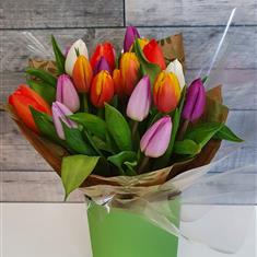 Mixed tulips gift box