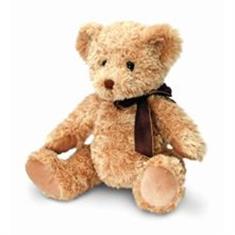 Sherwood bear 25cm