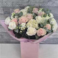 Blush