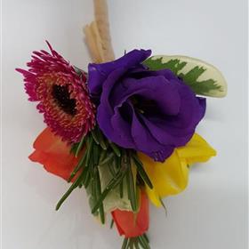 fwthumb_IEW6912b17JPG.jpg