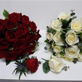 fwthumb_IEW6912b24JPG.jpg