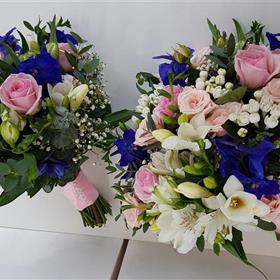 fwthumb_IEW6912b36JPG.jpg